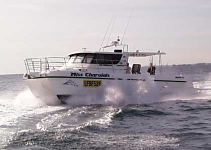 catamaran_a_moteur_LC350DP